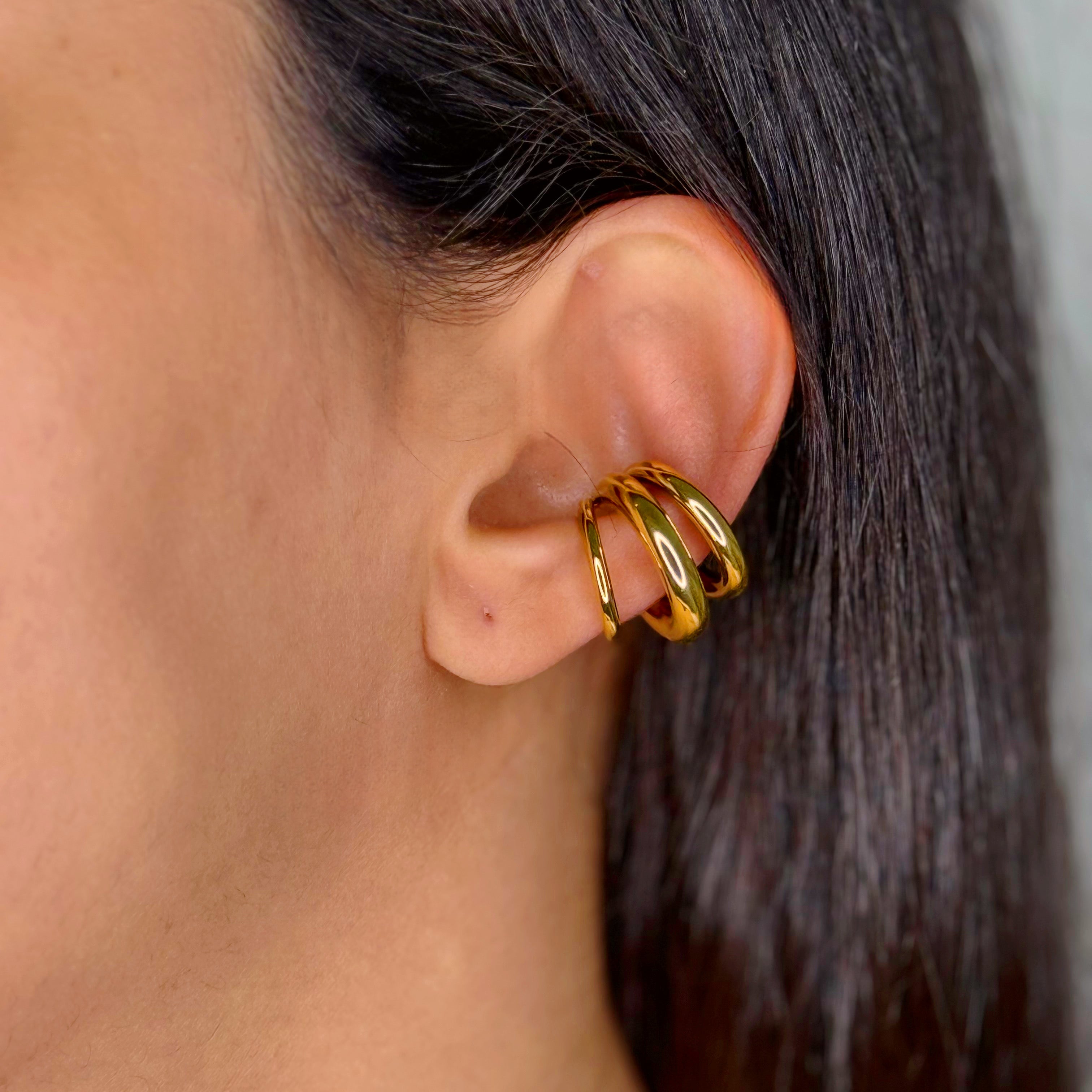 Imagen de diapositiva