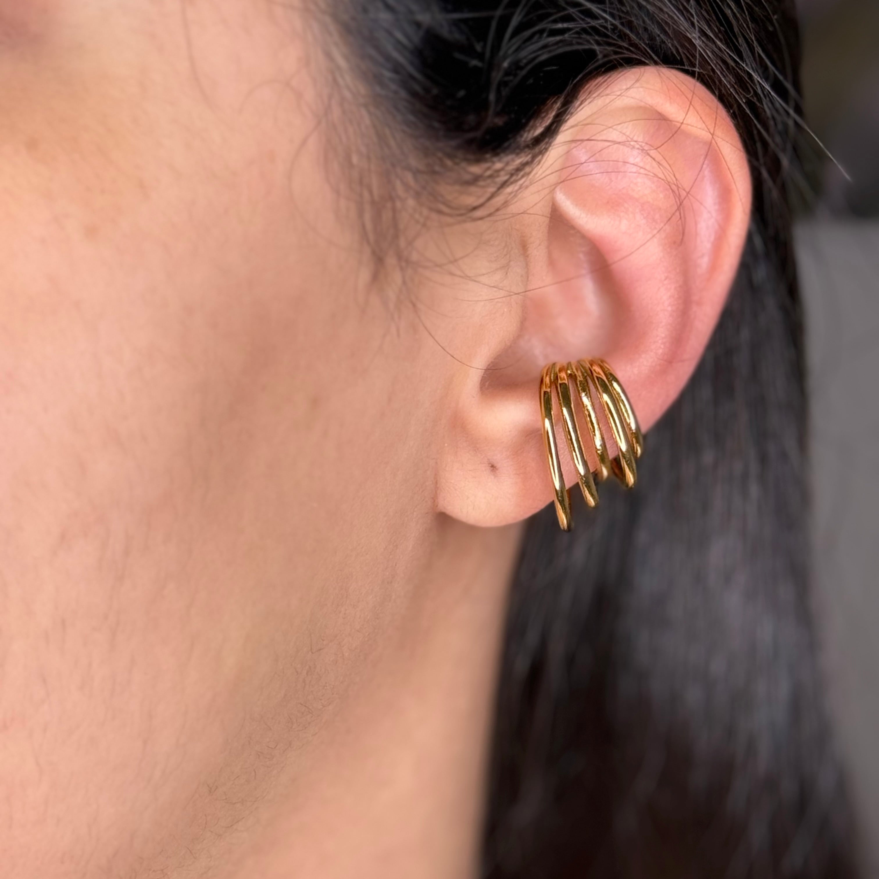 Puño de oreja Iris