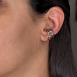 Puño de oreja Iris