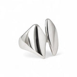 Anillo de timón