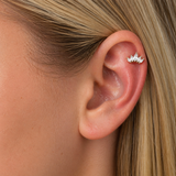 Pierce Livia