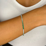 Immagine diapositiva