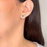 Immagine diapositiva