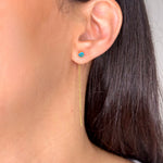 Immagine diapositiva