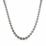 Immagine diapositiva