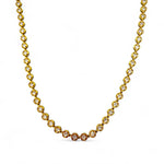 Immagine diapositiva