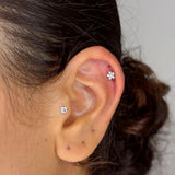 Pierce North Star