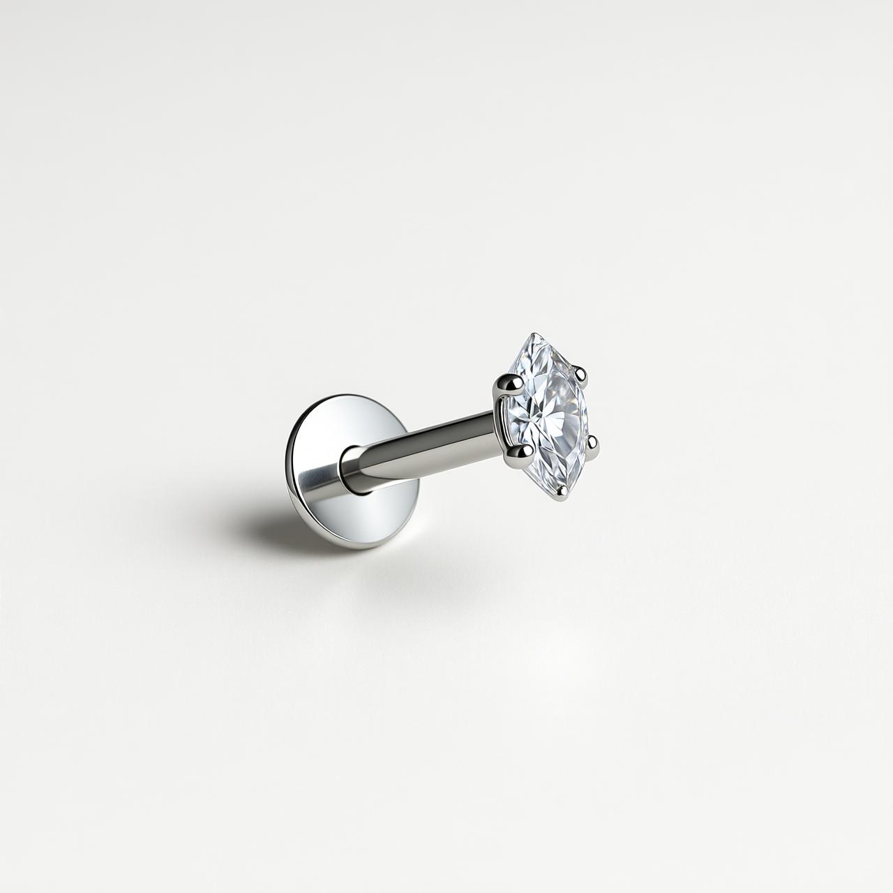 Immagine diapositiva