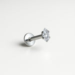 Immagine diapositiva