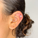Pierce Starfish