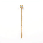 Imagen de diapositiva