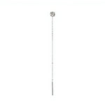 Imagen de diapositiva